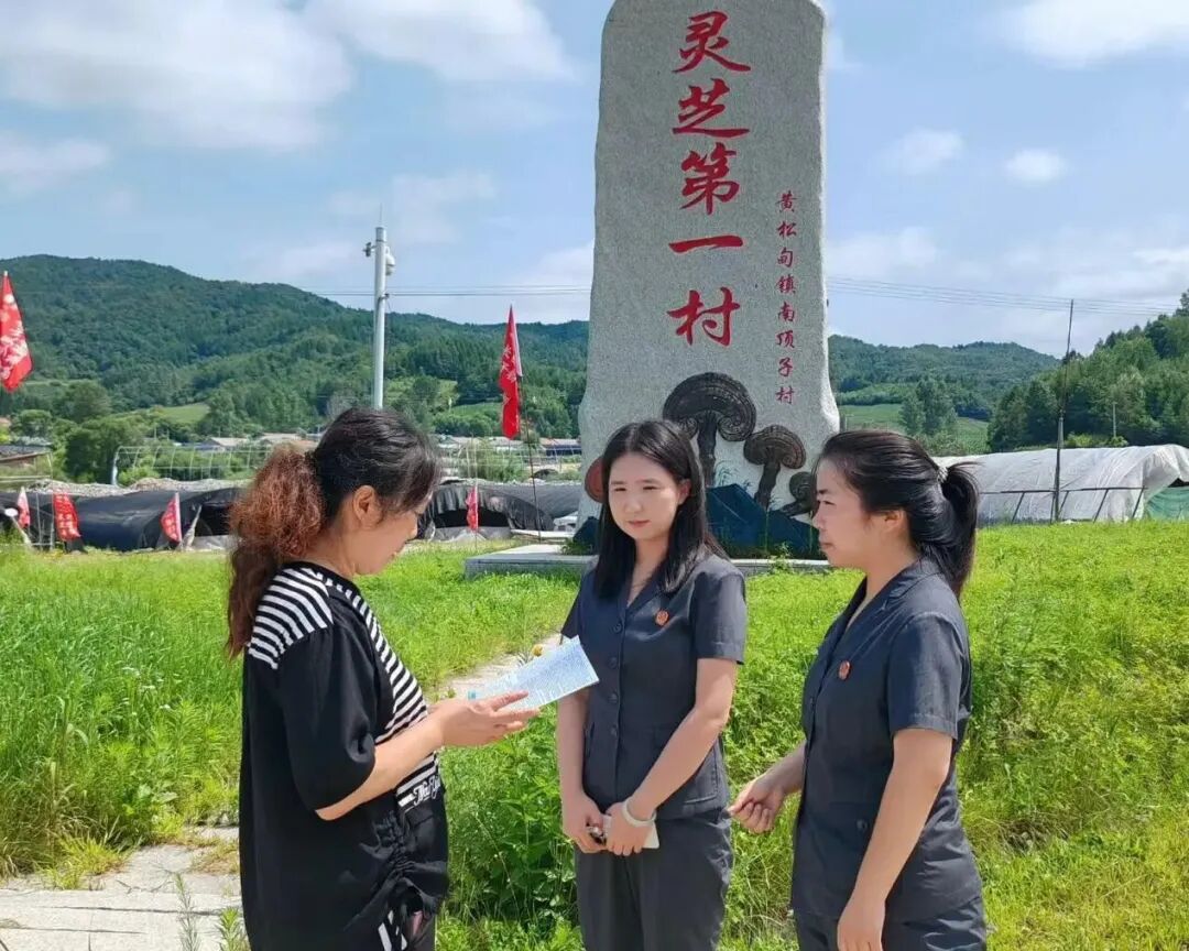 司法护航“菌飘香” 联动服务助力乡村产业振兴 